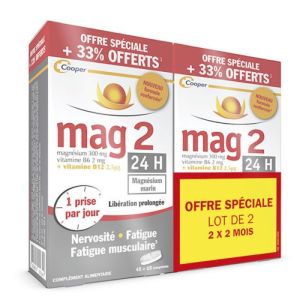 Mag 2 24H V2 Comprimés Boîte de 45 + 15 Offerts x2